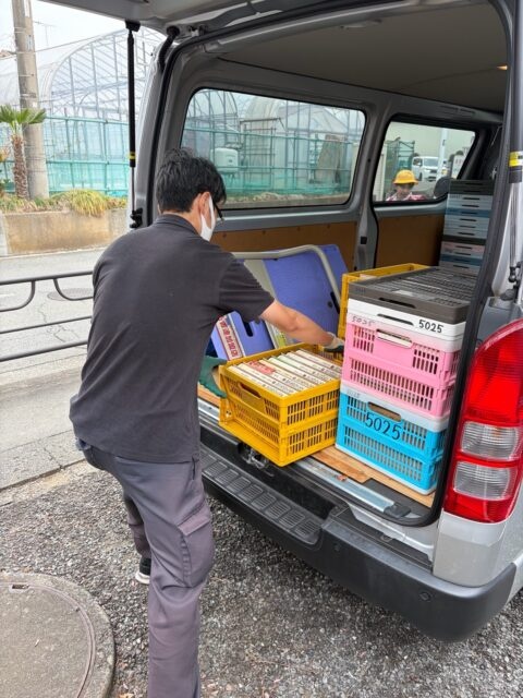 書籍が入ったピンク色の折りたたみコンテナを、ワゴン車の側面ドアから積み込もうとするスタッフ。