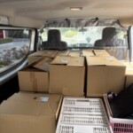 中央区勝どきで出張買取したビジネス書25箱を車内に積み込んだ様子