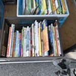 比較的きれいな絵本と児童書をカゴに入れて整理した様子