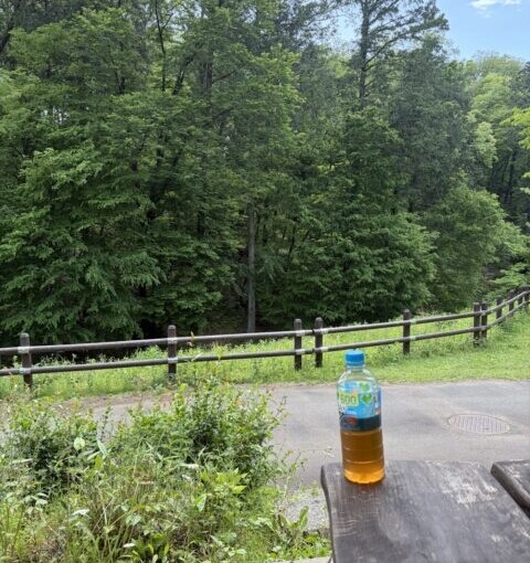 ゴールデンウィーク中の気分転換に、野山北・六道山公園まで散歩してきました