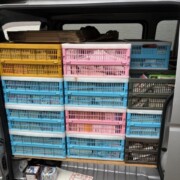 港区のオフィスビル15階でビジネス書と専門書を古本出張買取している様子