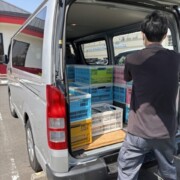 中野区の戸建て住宅で大学教授の蔵書整理を行い、岩波文庫や思想・哲学書約40カゴをハイエースへ積み込む出張買取スタッフの様子。