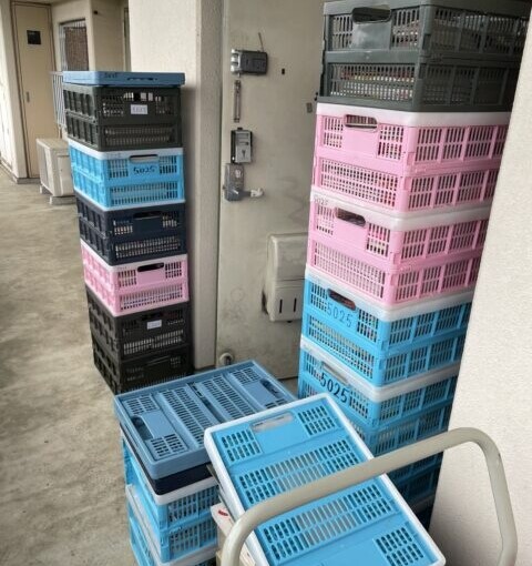 マンションの共用廊下に色分けされたカゴが高く積まれ、大量の本が搬出準備されている様子。